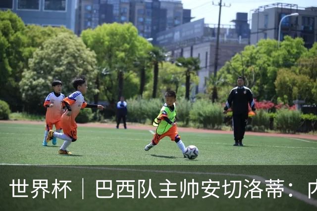 世界杯｜巴西队主帅安切洛蒂：内马尔可踢满90分钟