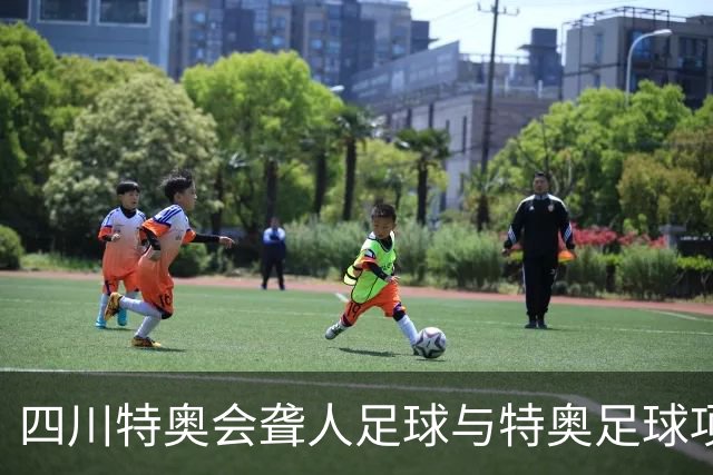 四川特奥会聋人足球与特奥足球项目在宜宾南溪落幕