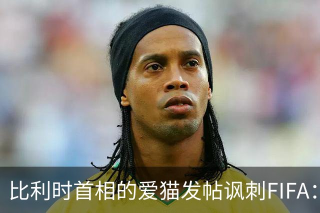 比利时首相的爱猫发帖讽刺FIFA：“红牌？”我照样继续踢！